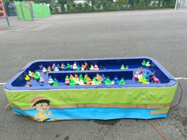 Pêche aux canards
